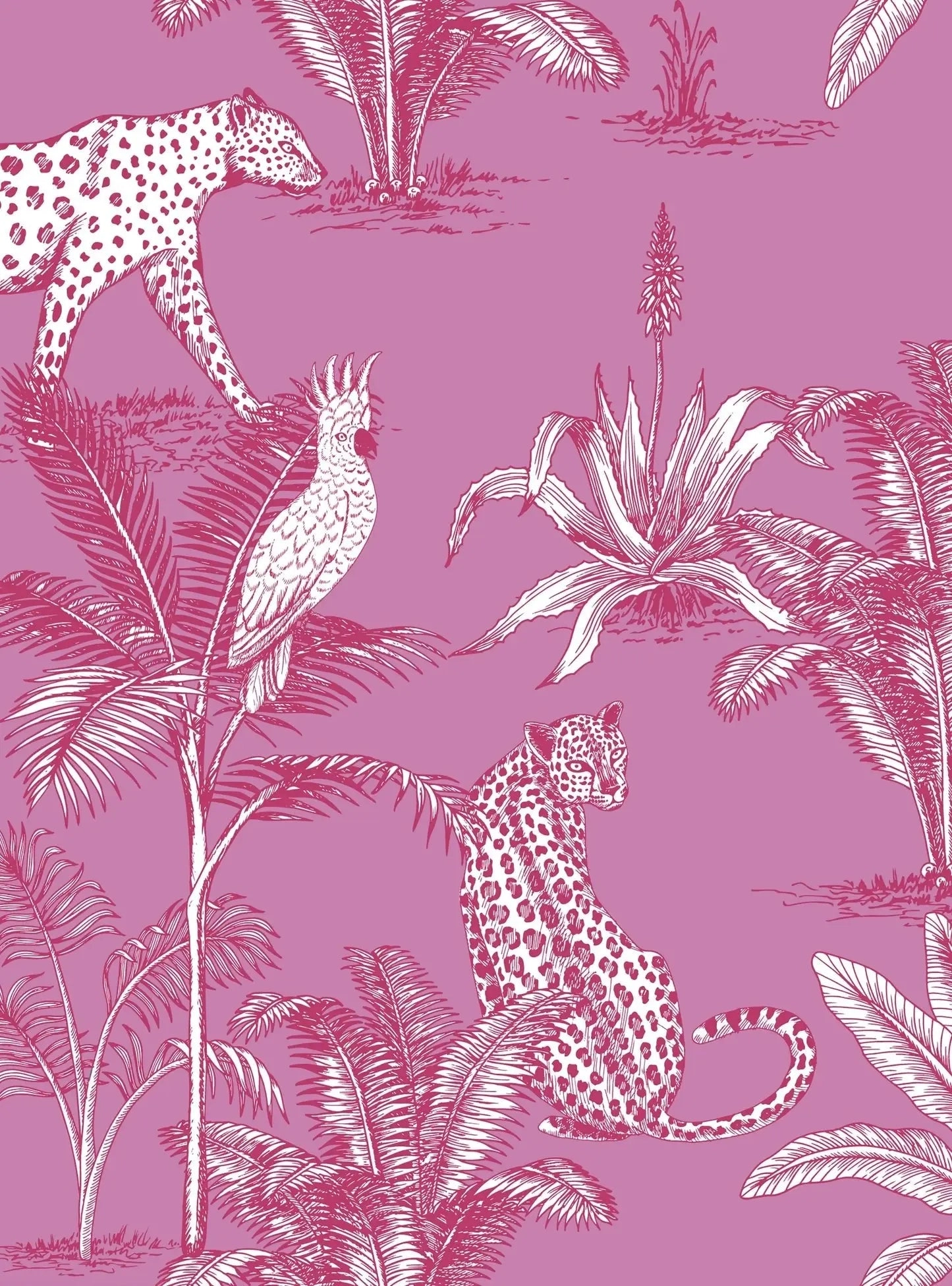 Pink Jungle Women's Organic Cotton Nightshirt