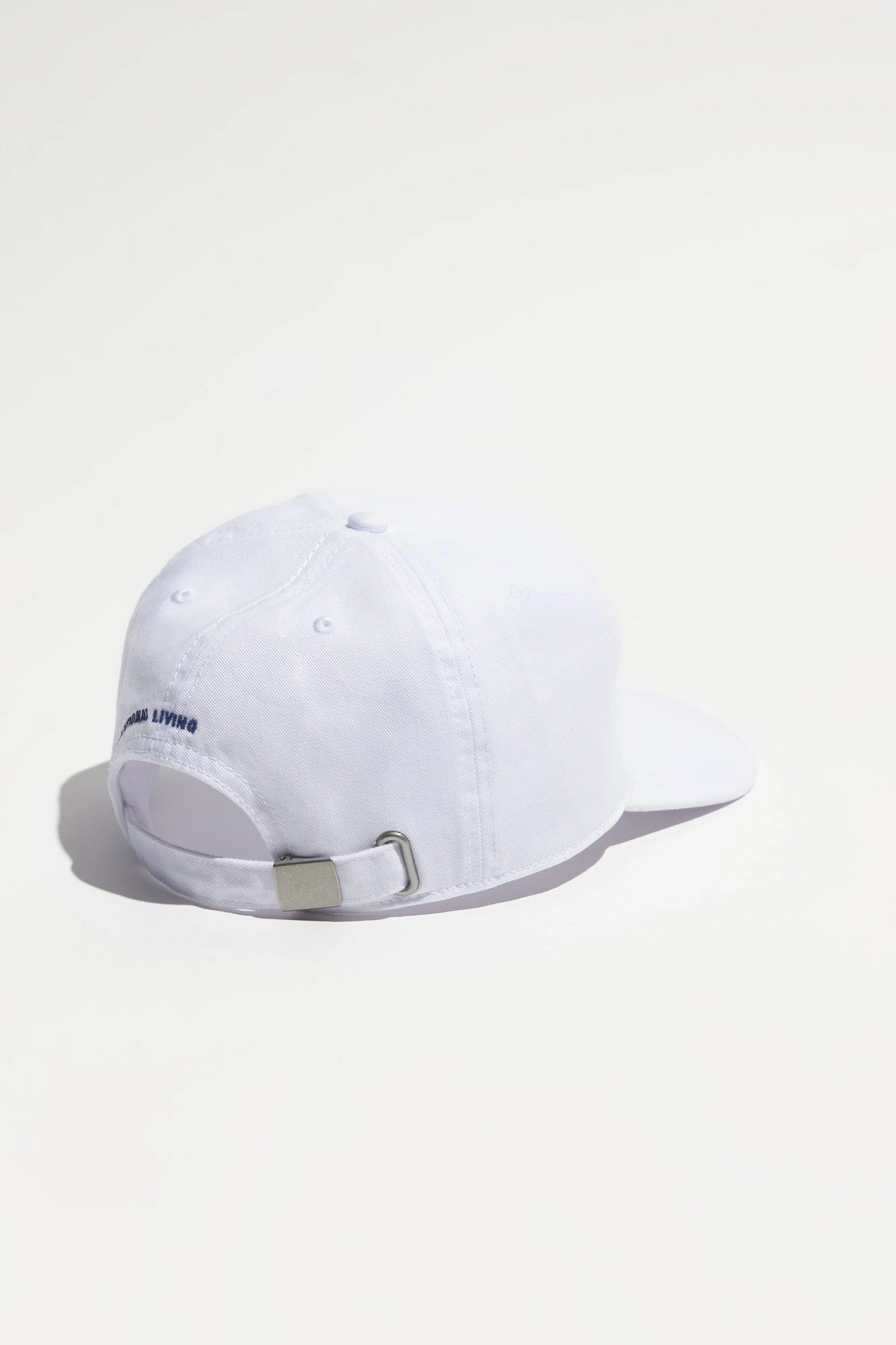 SG Palm Dad Hat