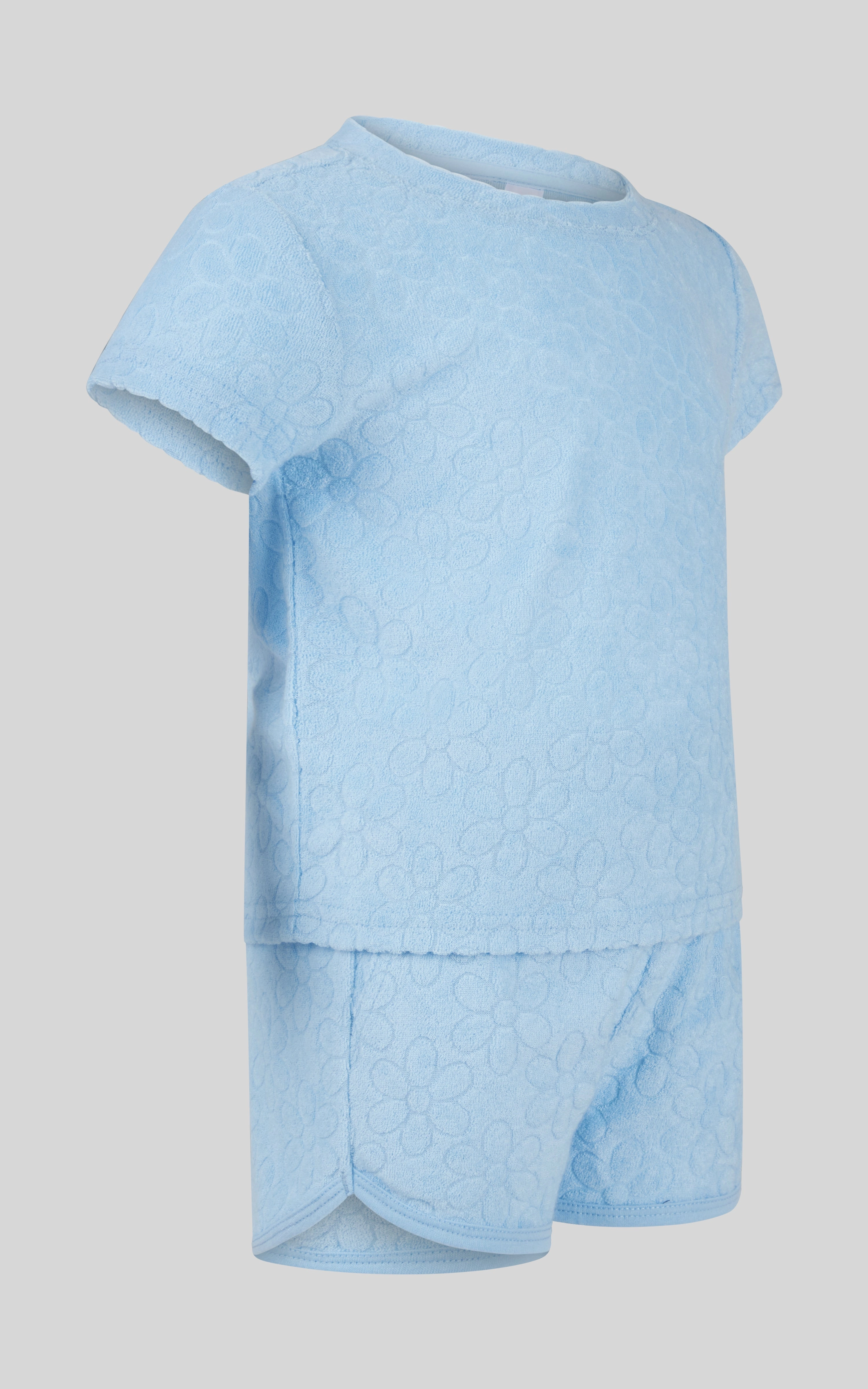Toddler Girls 2 PC Towel Terry Short Sleeve Top and Dolphin Short