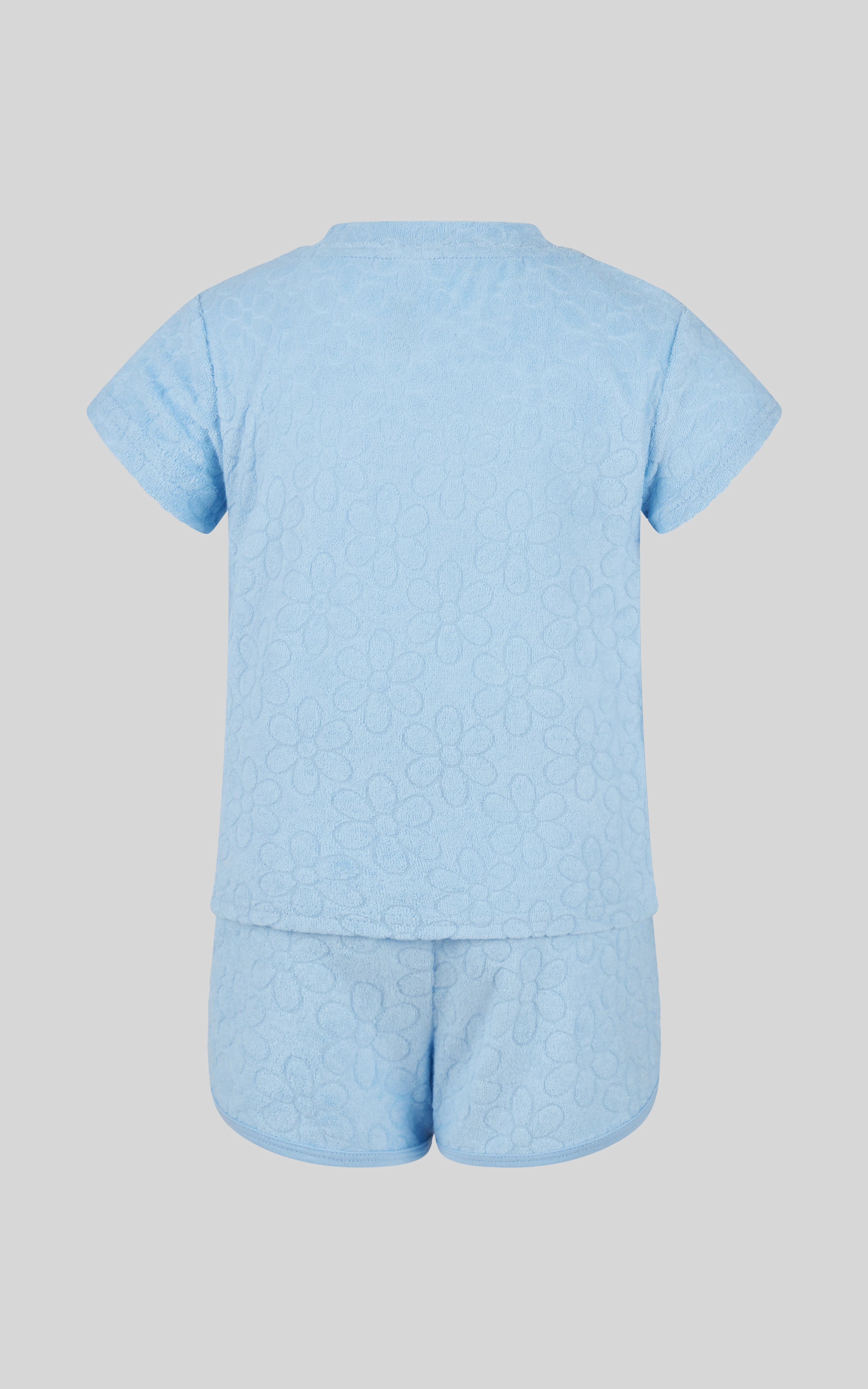 Toddler Girls 2 PC Towel Terry Short Sleeve Top and Dolphin Short